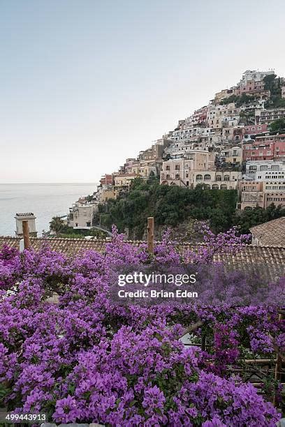 77 Italy Purple Flowers Village Stock Photos, High-Res Pictures, and ...