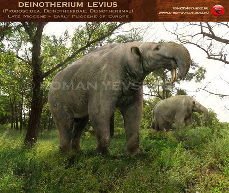 Deinotherium levius by RomanYevseyev on DeviantArt