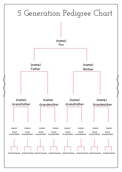 Family Tree Template 5 Generations