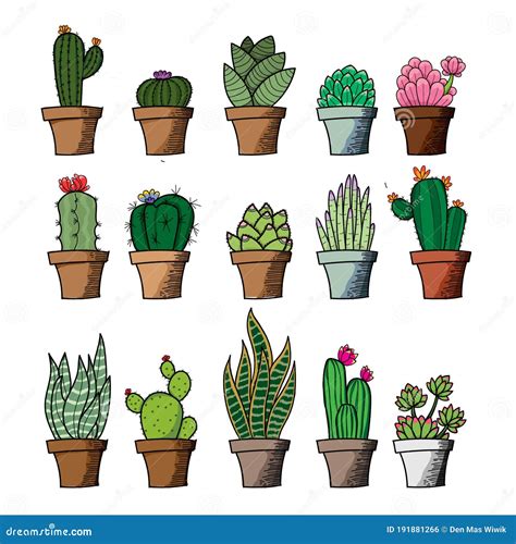 Illustration Vector Graphic of Set Pack Cactus and Green Flowers Stock ...