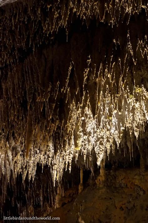 Bizarre and Beautiful: Postojna Caves, Slovenia – little bird around the world