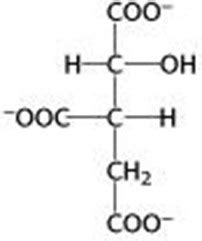 Bio Gallery: Isocitrate structure