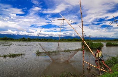 Is it safe to eat? Bangladesh fish exposed to hormones, antibiotics and ...