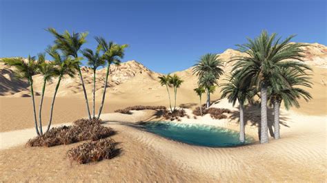 Desert Oasis Landscape Wallpapers - 4k, HD Desert Oasis Landscape ...