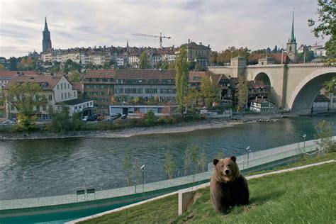 Bern Bear Park | Switzerland Tourism