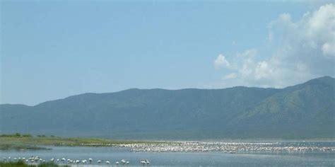 Lake Bogoria National Park - Amazing Memories Safaris