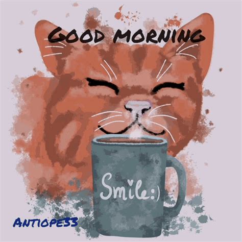 Good Morning Cat GIF - Good Morning Cat Coffee - Discover & Share GIFs