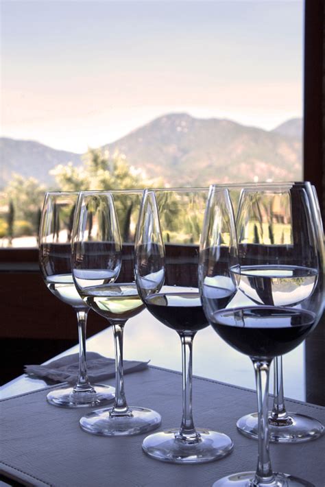 NAPA VALLEY INSIDER Wine Tasting Tips - Erika Brechtel