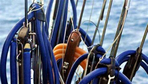 Spearfishing Gear: A Guide to Choosing the Right Equipment