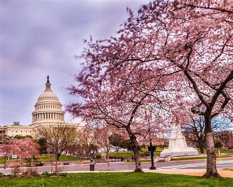 Maserati MC20 in Washington DC HD wallpaper | Pxfuel