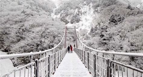 4 Reasons Why You Should Visit Jeju Island In Winter | Jeju island, Jeju, Korea travel