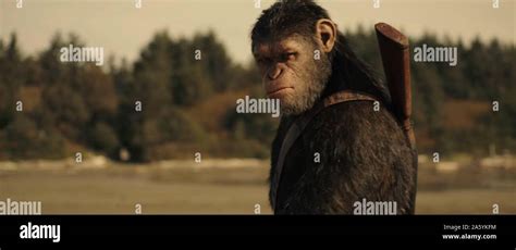 War for the Planet of the Apes Year: 2017 USA Director: Matt Reeves ...