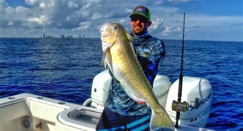 Tilefish - Habitat Driven Delicacies | In The Spread