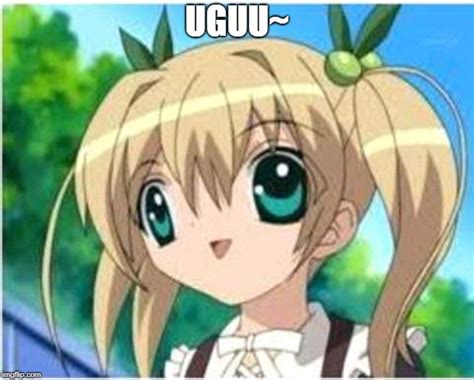 Uguu~ - Imgflip