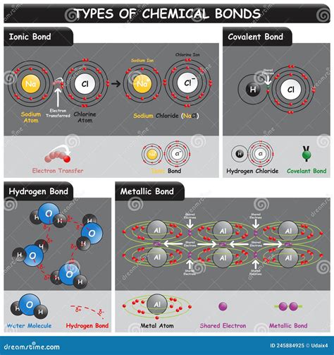 Types of Chemical Bonds Infographic Diagram Stock Vector - Illustration of aluminum, type: 245884925