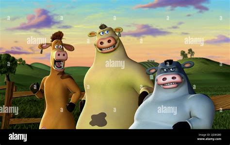 THE JERSEY COWS, BARNYARD, 2006 Stock Photo - Alamy