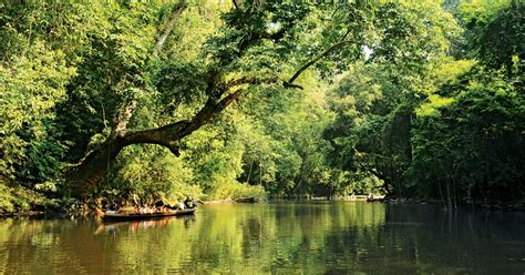 Taman Negara Pahang - Discover Malaysia Oldest National Park