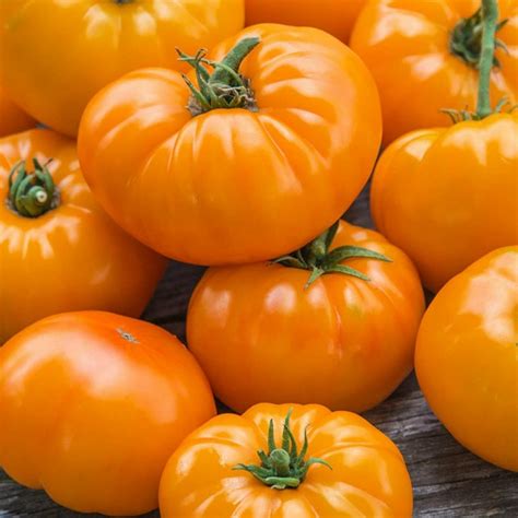 Orange Beefsteak Heirloom Tomato Organic Seeds - Price €2.15