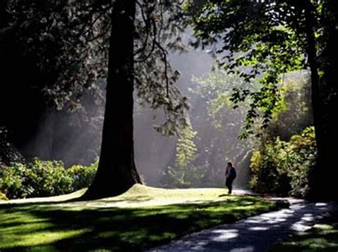 Bodnant Gardens in Autumn - North Wales Live