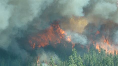 Wildfire in Michigan's Upper Peninsula destroys 34 homes and cabins - CNN