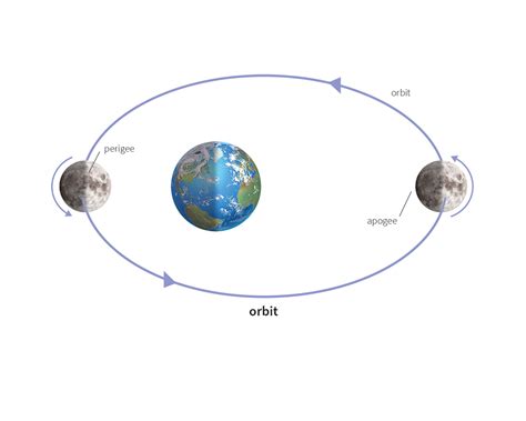 orbit noun - Definition, pictures, pronunciation and usage notes | Oxford Advanced Learner's ...