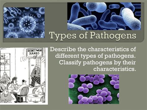 Types of Pathogens