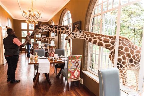 Review: The greatest place ever! - Giraffe Manor, Nairobi - Tripadvisor