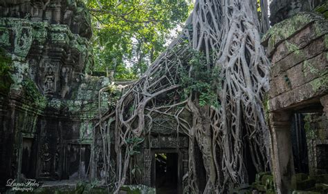 Ta Prohm Temple by LunaFeles on DeviantArt