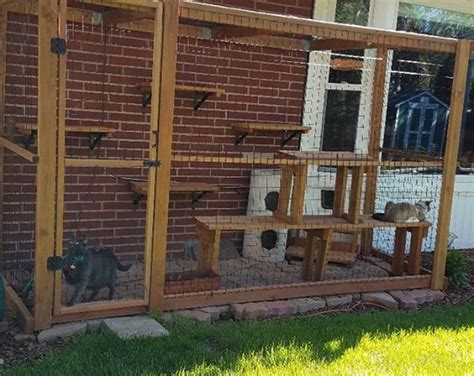 Catios & Cat Enclosures - Purrfect Love | Cat enclosure, Diy cat enclosure, Catio