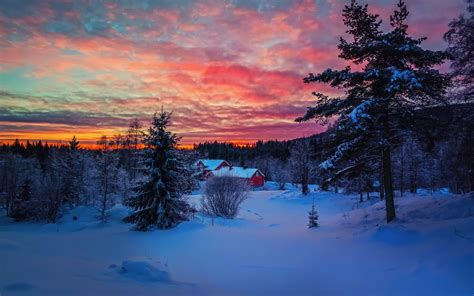 Snowy Sunset Wallpaper - WallpaperSafari