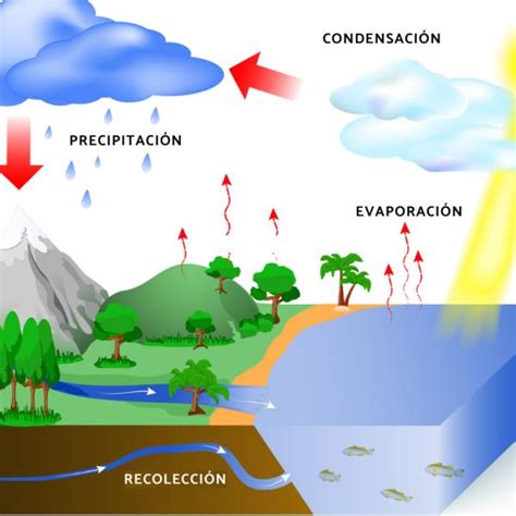 Ciclo Del Agua Para Ninos