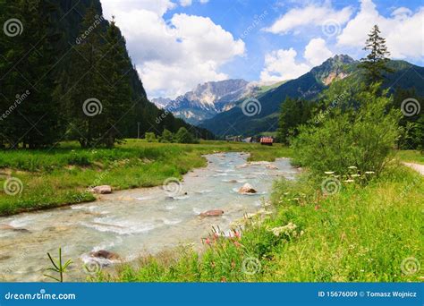 Mountain River Flows Through Green Valley Royalty Free Stock Images - Image: 15676009