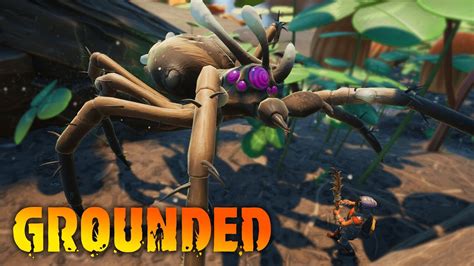 KILLING the INFECTED WOLF SPIDER?! Grounded Episode 35 - YouTube