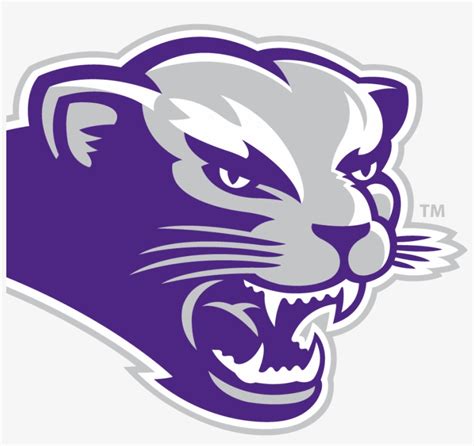 Bearcat Mascot S 119593 2950801 40052 Bearcat - Southwest Baptist ...