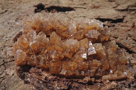 Ethiopia, Danakil Desert, Lake Assal, Salt crystals stock photo