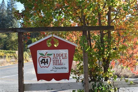 The Best Apple Hill Farms to Visit In The Fall - Small World This Is