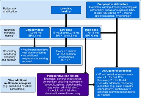 Evidence-based guidance for use of intrathecal morphine as an ...