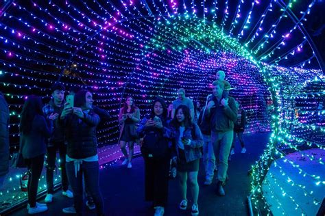 Explore A Wild Wonderland Of Lights At The L.A. Zoo!