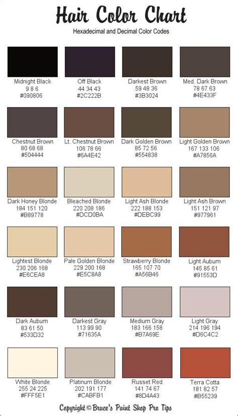 the hair color chart for all different types of hair dyes and how to ...