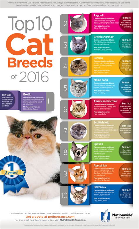 Top 10 Cat Breeds of 2016 | Pet Health Insurance & Tips