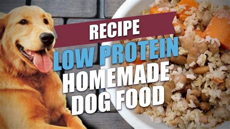 Homemade Dog Food Kidney Failure - foodcrot