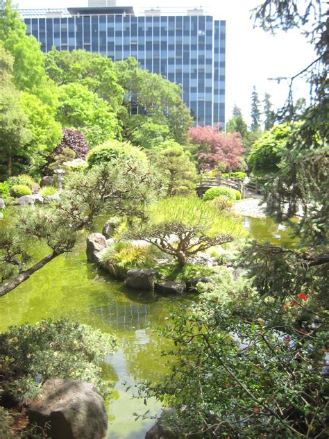 Cheryl and William: San Mateo Central Park