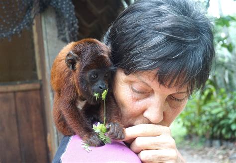 Volunteer at the Peru Amazon Wildlife Sanctuary