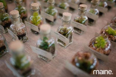 Allie + Josh | Succulent wedding decor, Terrarium wedding, Terrarium wedding favor