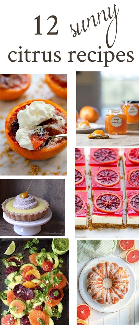 12 Citrus Recipes to Make You Forget About Winter · Nourish and Nestle