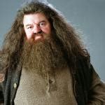 Hagrid Meme Generator - Imgflip