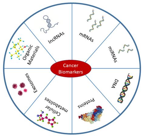 Types of cancer biomarkers. Biomarkers are mostly found in body fluids... | Download Scientific ...