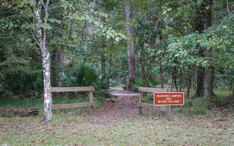 Manatee Springs State Park Campground | Outdoor Project