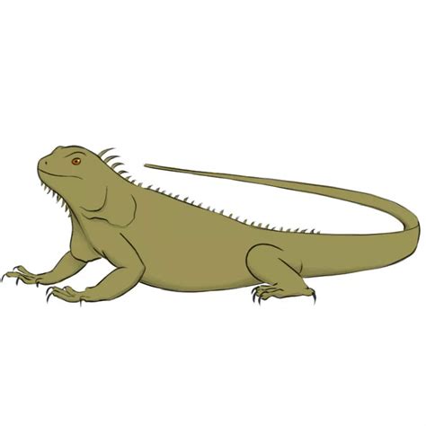 How to Draw an Iguana - Easy Drawing Art