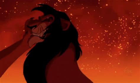 Someone has noticed THIS about the Lion King and it's a bit of a game ...